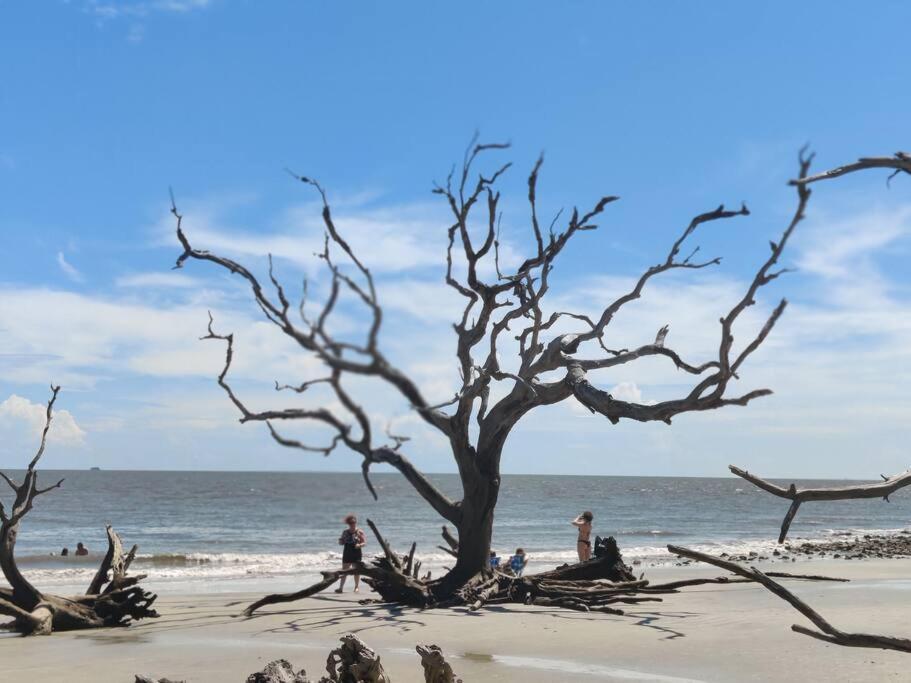 Jekyll Island House/ Kellys On The Coast /King Bed Villa Exteriör bild